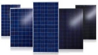 پنل خورشیدی 250 وات پاندا